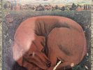 Ticket - Let Sleeping Dogs Lie RARE Orig 1972 Oz Press Prog Rock LP Vinyl Record