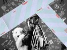 Luv Is Rage 2 by Lil Uzi Vert (Record, 2023) Clear Vinyl