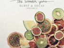 The Wonder Years Burst & Decay - Volume 2 (Vinyl) 12