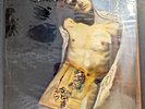 Jane's Addiction Self Titled 1987 Clear 12