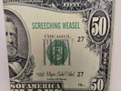 Screeching Weasel- Major Label Debut Vinyl 12