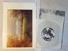the Durutti Colum - Enigma / Danny French orig' Sordide Sentimental 7