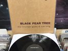 The Mountain Goats Kaki King Black Pear Tree EP VG+