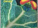 Catapilla  Changes RARE Orig 1972 German Vertigo Press Prog Rock LP Vinyl Record