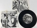 Hectic by Operation Ivy Single Vinyl Record 7 Inch Vinyl