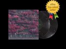 IN HAND SLEEP TOKEN - EVEN IN ARCADIA - FEATHERED HOST LP Vinyl 2LP