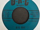 Ray Rissmiller 1966 Garage/R&B 45 on GRC   Big Ray   Hear