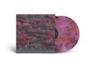 Sleep Token ‘Even In Arcadia’ Vinyl 2LP “Glass of Port” Revolver LE/3000 Pink