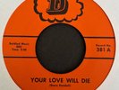 The Vandals 1966 Atlanta GA Garage Rock 45 on D   Your Love Will Die   Hear