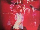 MINT Divinyls What A Life Australia pressing 12'' vinyl Lp 1985 OZ rock rare