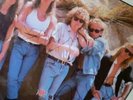 Def Leppard Animal