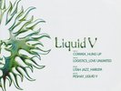 Various - Liquid V, 2x12