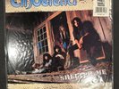 Cinderella - Shelter Me  12” Picture Disc  Snakeskin Vinyl & Poster Sleeve