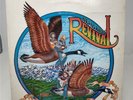 New Grass Revival - Too Late To Turn Back Now Gatefold LP 1978 Flying Fish #050