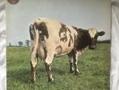 Pink Floyd Atom Heart Mother LP vinyl record German pressing