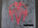 PUSHEAD Record 7 inch Color Vinyl Special Edition