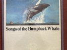 Songs Of The Humpback Whale CRM Records SWR 11 LP Vinyl Record Album w/ Book