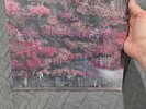 SLEEP TOKEN - EVEN IN ARCADIA - HOUSE VERIDIAN Vinyl 2LP  SOLD OUT