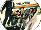 The Incredible Shrinking Dickies (Picture Disc) Vinyl LP Psyche Rock Limited New