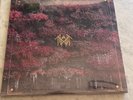 Sleep Token Even In Arcadia (Metallic Marble) Vinyl LP Hot Topic U.S. Exclusive