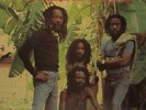 Wailing Souls The Best Of Wailing Soul - LP 33T