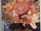 Nirvana Heart Shaped Box 12 Inch vinyl 1993 PROMO US Geffen PRO-A-4558 Plus CD