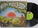 MAURY MUEHLEISEN GINGERBREADD 1970 LP CAPITOL RECORDS ST 644 PSYCH ROCK FOLK