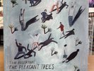 Tom Rosenthal - The Pleasant Trees Vol 1 2 & 3 LP  2016 RARE Private Press FOLK