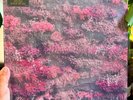 Sleep Token - Even In Arcadia Record(Feathered Host Red-Blue-White Marble Vinyl)