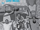 Various Artists : Wanted: Surf Music: From Diggers to Music Lovers VINYL 12