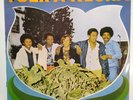 rare vinyl record - Black Tulip - Tanning