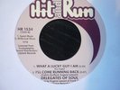 delegates of soul 4 tracker/ running back etc  hit n run re/ uk  soul 45