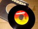 THE OFFSPRING Pretty Fly (For A White Guy) (Regular and Geek Mix) C 45 RPM