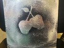Silver Apples Lp Kapp stereo KS-3562 OG  Psychedelic Rock VG+/VG 1968