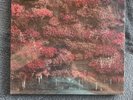 SLEEP TOKEN - EVEN IN ARCADIA - FEATHERED HOST (US) LP Vinyl 2LP -(In Hand)