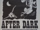 D.A.D DISNEYLAND AFTER DARK concert poster 24