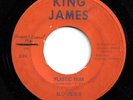 GARAGE ROCK PSYCHE 45 by BLU-EREBUS HEAR IT