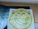 Mac Demarco - This Old Dog Limited Edition Picture Disc Vinyl Records /500