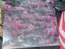 SLEEP TOKEN Even In Arcadia (Metallic Marble) Vinyl LP Hot Topic Exclusive