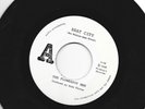 80's PUNK ROCK 45 - FLOWERPOT MEN - BEAT CITY - FERRIS BUELLER  -  HEAR -1986 AP