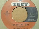 Barbara Dane 45rpm 1960 Trey 3012 I’m On My Way / Go ‘Way From My Window