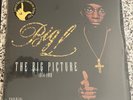 The Big Picture Rare Limited Edition Translucent Vinyl 2LP Big L *BRAND NEW*