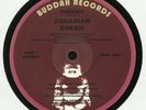 AQUARIAN DREAM - Phoenix - Vinyl (12