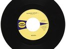 S.O.U.L. Burning Spear/Do What Ever You Want to Do (Vinyl) 7