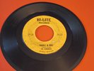 THE SEMINOLES-Trouble In Mind.. 45rpm 7 INCH Vinyl on HI- LITE.. DETROIT Soul