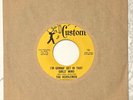 Ripping TX Garage Punk REDDLEMEN I'm Gonna Get in That Girl's Mind 45 NM