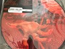 Something Wild - Ltd Ed.  #017- Picture Disc,  Vinyl LP -  Children of Bodom -