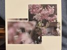 KHAKI CUFFS FIRST PRESS RANDOM COLOR /100 RARE EMO VINYL 2020