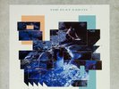 Thomas Dolby - The Flat Earth (LP, Album)