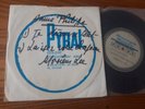ACETATE PYRAL / ARROW Annie PHILIPPE I discover everything - leave your hat